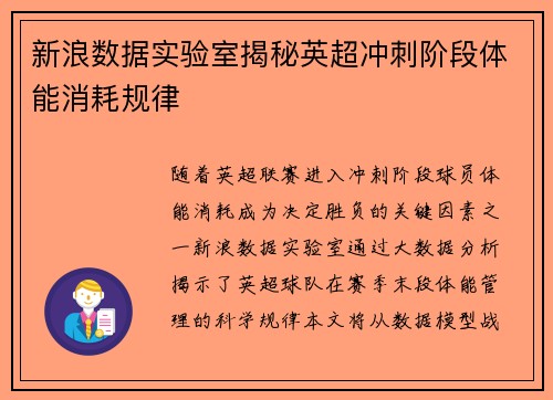 新浪数据实验室揭秘英超冲刺阶段体能消耗规律
