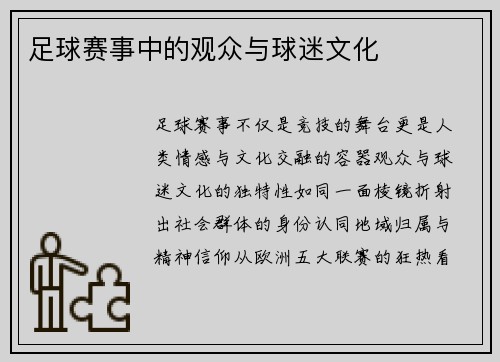 足球赛事中的观众与球迷文化